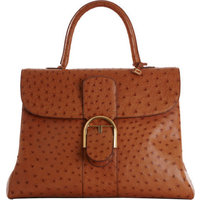 Delvaux Brillant GM Autruche photo