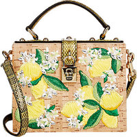 Dolce & Gabbana Lemon-Embroidered & Jewel-Embellished "Lunch Box" photo