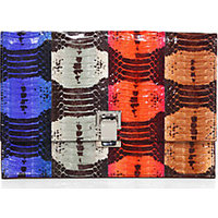 Proenza Schouler Multicolor Python Small Lunch Bag photo